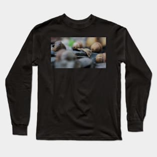 Autumn Acorns and Fallen Leaf Long Sleeve T-Shirt